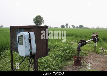 Elektrischer Tubewell in einem Feld Stockfoto