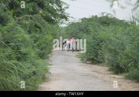 Ziege mit Kindern auf der Landstraße, Indien Stockfoto