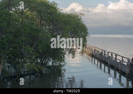 Schöne Aufnahme von einem Pier mit einem Baum auf dem Seite und das Meer im Hintergrund mit schönen Wolken Stockfoto