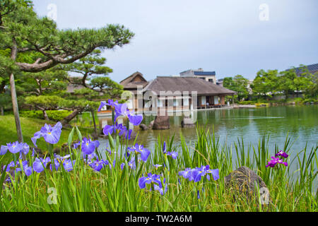 Yokokan ist ein Garten in der Edo Periode erstellt. Es diente einst als Villa der Matsudairas, der ehemaligen feudalen Familie der Fukui Domain. Stockfoto