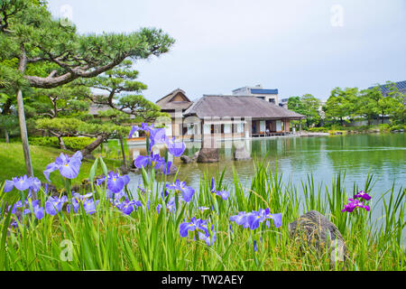 Yokokan ist ein Garten in der Edo Periode erstellt. Es diente einst als Villa der Matsudairas, der ehemaligen feudalen Familie der Fukui Domain. Stockfoto