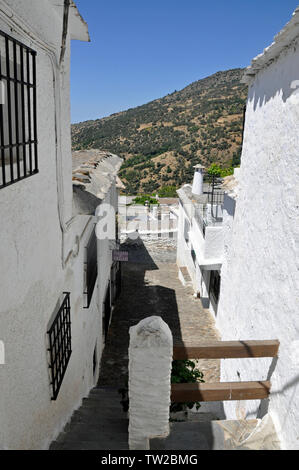 Straßen und Gassen bilden ein Labyrinth, in dem malerischen, Flachgedeckte Bergdorf Bubion in Las Alpujarras, Granada, Spanien Stockfoto