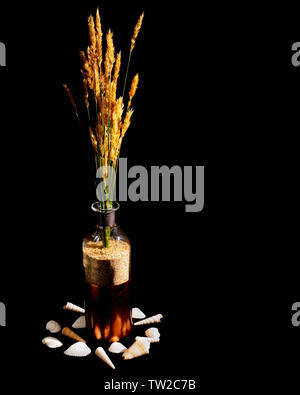 Wildes Gras mit samenköpfe ist in eine rote Flasche mit Kupfer Akzent gezeigt, mit Sand gefüllt. Muscheln umgeben den Boden der Flasche. Stockfoto