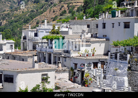 Häuser in den Hügel im malerischen Bergdorf Pampaneira in Las Alpujarras, Granada, Spanien Stockfoto