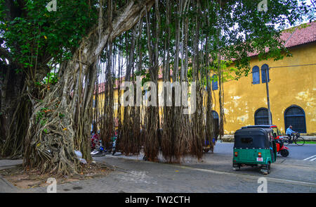 Galle, Sri Lanka - Dec 21, 2018. Malerischer Blick auf Straße an der alten kolonialen Fort Galle in Sri Lanka. Galle ist eine Stadt an der Südwestküste von Sri Lanka. Stockfoto