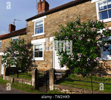 York Cottage in Hutton-le-Hole Dorf am Rande der North York Moors, Yorkshire, England, Großbritannien Stockfoto