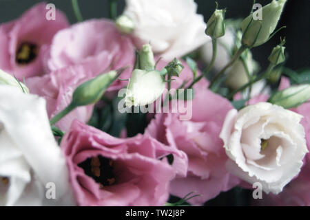 Schönen Blumenstrauß rosa prairie Enzian Blumen in Soft Focus und Haze, floral background Stockfoto