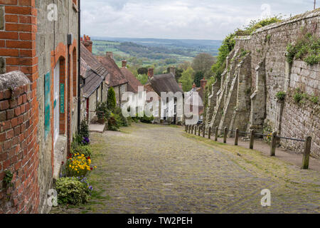 Hovis Gold Hill ein Blick von oben in Gold Hill in der hovis Junge auf einem Fahrrad Anzeige verwendet. Steilen gepflasterten Straße in der englischen Grafschaft Dorset Stockfoto