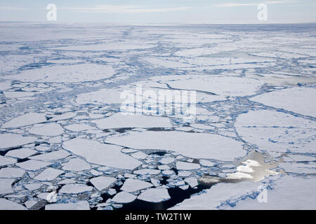 Die weltweit größte atomare Eisbrecher, 50 - Jahre der Sieg, auf dem Weg zum Nordpol. Russischen Arktis, Juli 2008 Stockfoto