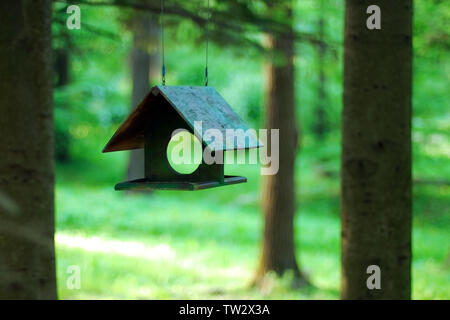 Green Bird Feeder hängen in den Schatten der Bäume auf verschwommenes grün sommer wald Hintergrund Stockfoto