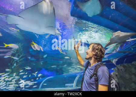 Neugierige Touristen beobachten mit Interesse auf Shark im Oceanarium tunnel Stockfoto