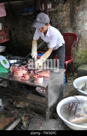 Vietnamesische Frau wie ein Fisch Metzger in einem offenen Markt aufschneiden und den Verkauf von Fisch in Wellington City, Vietnam arbeiten Stockfoto