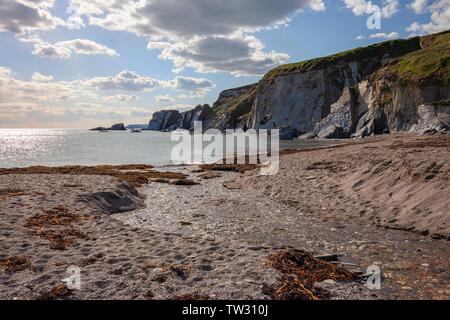 Ayrmer Cove, Devon, England. Stockfoto