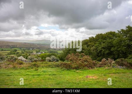 Landschaft bei Brentnor in der Nähe von Dartmoor, Devon, England. Stockfoto