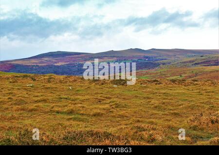 Nassen und wilden Dartmoor im Winter, zwischen den Städten Dousland und Princetown, Devon. Stockfoto