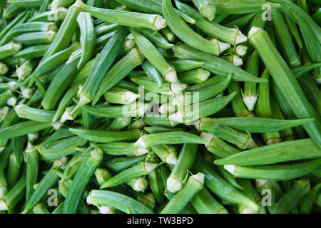 Vollformat von Okras Stockfoto