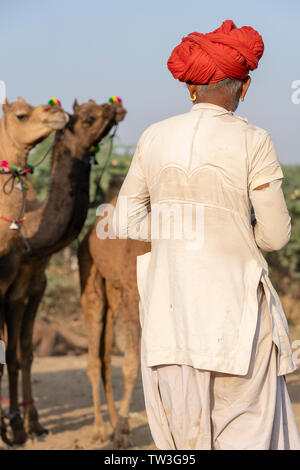 Indische Männer und Herde Kamele in der Wüste Thar in Pushkar Kamel Mela in der Nähe der heiligen Stadt Pushkar, Rajasthan, Indien. Diese Messe ist die größte Camel Trading Fair Stockfoto