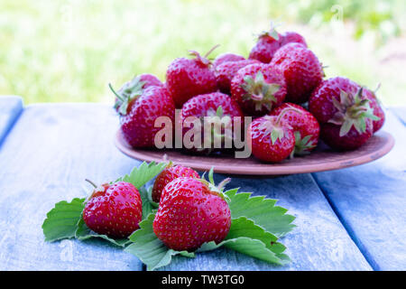 Eine Schüssel voller Frische rote Erdbeeren auf Blau alte Boards. close-up Stockfoto