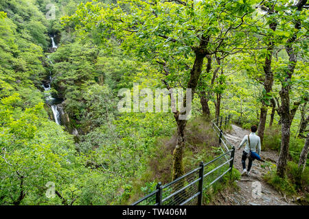 Mynach fällt, Devil's Bridge, langer Weg, Pontarfynach, Wales Stockfoto