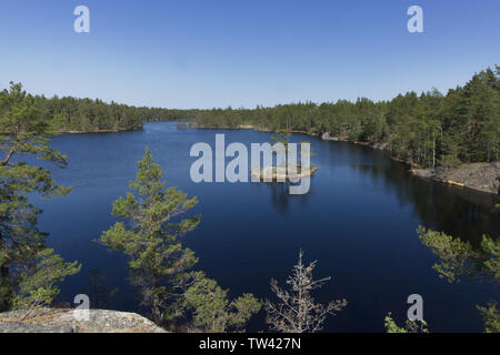 Tiresta durch National Park in der Nähe der Stadt Stockholm Stockfoto