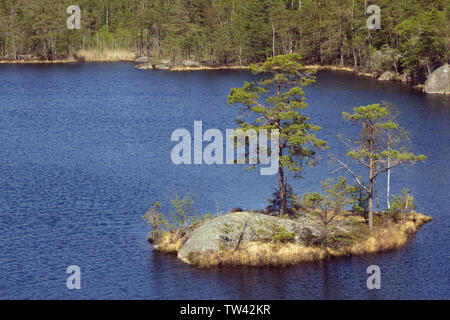 Tiresta durch National Park in der Nähe der Stadt Stockholm Stockfoto