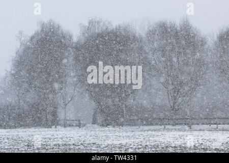 Schneeflocken fallen auf eine bereits schneebedeckten Feld Stockfoto