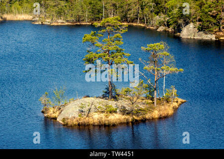 Tiresta durch National Park in der Nähe der Stadt Stockholm Stockfoto