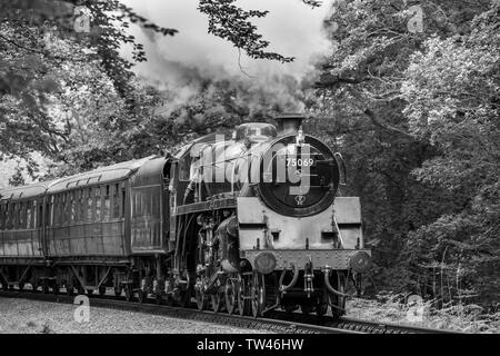 Schwarz-weiß Nahaufnahme der alten britischen Dampfeisenbahn, die sich nähert und durch die ländliche Sommerlandschaft auf der historischen Eisenbahnlinie führt. Britische Lokomotiven. Stockfoto