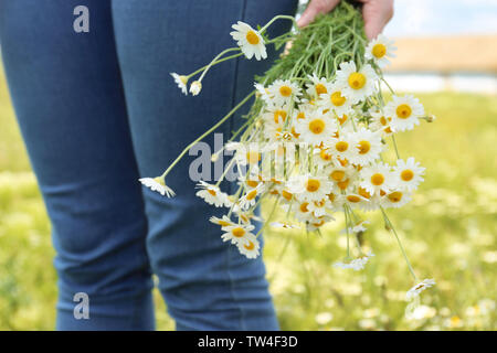 Junge Frau mit Blumenstrauß aus schönen Kamille Blumen im Frühling Feld, Nahaufnahme Stockfoto