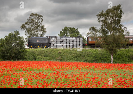 Seitenansicht des Vintage UK Dampfzug (mit Kohle) in einem Sommer Landschaft Landschaft Szene vorbei an Feldern der rote Mohn. Stockfoto