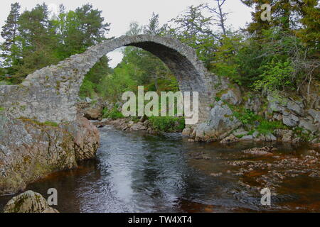 'Alte Carr-Brücke' Brücke aus Stein, 1717 gebaut, in Carrbridge, Cairngorms National Park, Schottland, Großbritannien Stockfoto