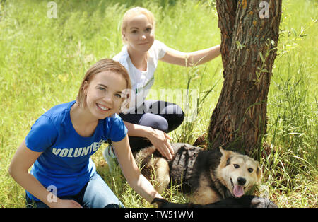 Weibliche Freiwillige sitzen auf Gras und Petting heimatlose Hunde aus dem Tierheim Stockfoto