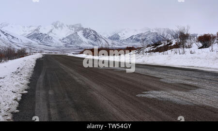 Tombstone Territorial finden Ende März, Yukon, Kanada Stockfoto