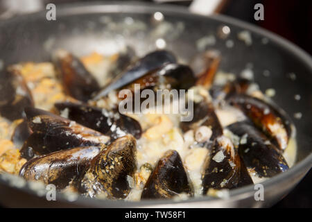 Muscheln in der Pfanne auf kommerzielle Küche im Restaurant gebraten Stockfoto