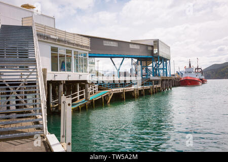 Interislander Fähre Terminal, Picton, Südinsel, Neuseeland Stockfoto