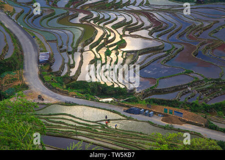 Provinz Guizhou, südöstliche Guizhou hinzugefügt Terrassen sunrise Landschaft, die Sonne scheint auf den Terrassen Stockfoto