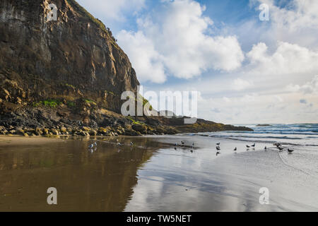 Hohe, schroffe Klippen, Möwen, blauer Himmel, und geschwollene weiße Wolken in den nassen Sand Strand an der Küste von Oregon nieder Stockfoto