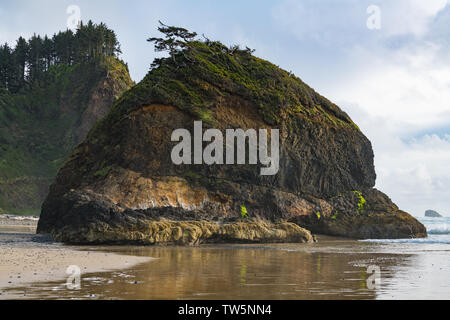 Meer stack Felsformation gekrönt mit grüner Vegetation und einem knorrigen Kiefern- und hohe, bewaldete Felsen über einem Sandstrand entlang der Küste von Oregon Stockfoto
