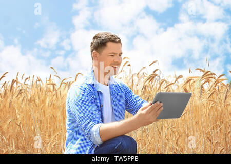 Agrarwissenschaftler mit Tablette im Weizenfeld Stockfoto