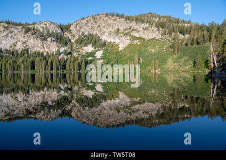 Ruhig, perfekt noch alpinen See widerspiegeln Pinien, Berge, blauer Himmel - Lake George in der kalifornischen Sierra Nevada Stockfoto