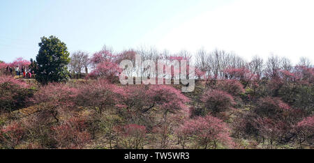 Mudanjiang Mei Garten Stockfoto