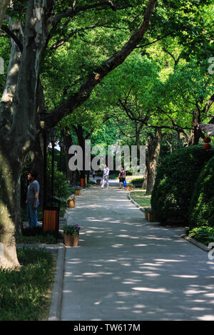 Landschaft von Betrunkenen Baichi Park in Songjiang, Shanghai Stockfoto