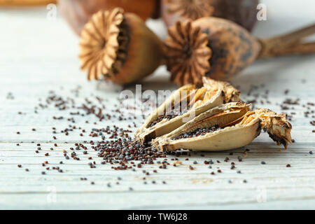 Cut Mohn pod auf hölzernen Hintergrund Stockfoto