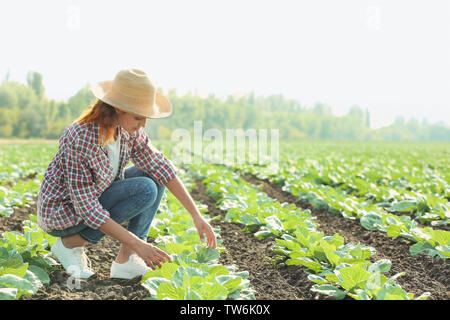 Junge weibliche Bauer arbeiten im Feld Stockfoto