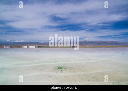 Tee qinghai See Stockfoto