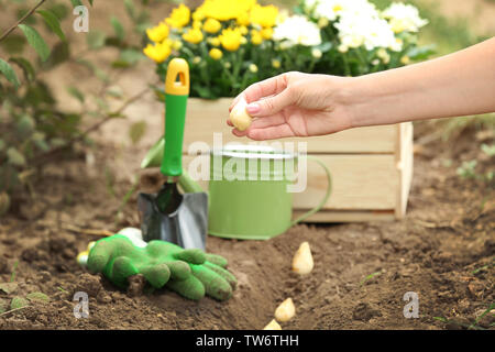 Frau mit Blume Glühbirne in der Nähe von Boden im Garten Stockfoto