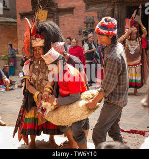 Tieropfer Zeremonie an Bisket Jatra 2018, Nepali New Year Festival. Bhaktapur, Provinz Nr. 3, Nepal, Asien Stockfoto