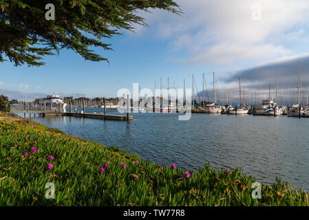 Boote an der Marina. Berkeley, Kalifornien, USA. Stockfoto