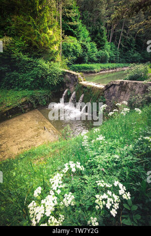 Johannesbachklamm Canyon in Niederösterreich im Sommer Stockfoto