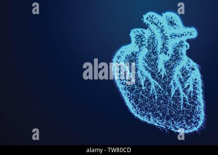Herzen der menschlichen Anatomie, abstrakte Low Poly, Dreieck, Punkt, Linie, Polygon. /-Blauen Hintergrund, Vektor, Abbildung Stock Vektor